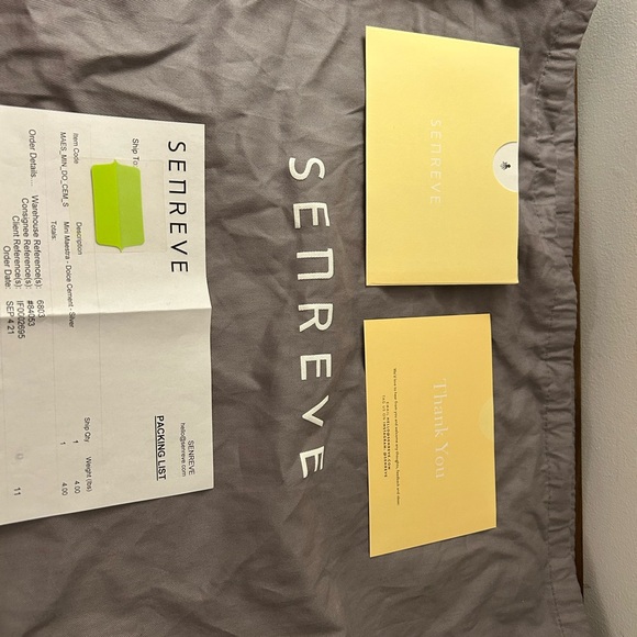 Senreve Mini Maestra in Silver - Picture 14 of 15